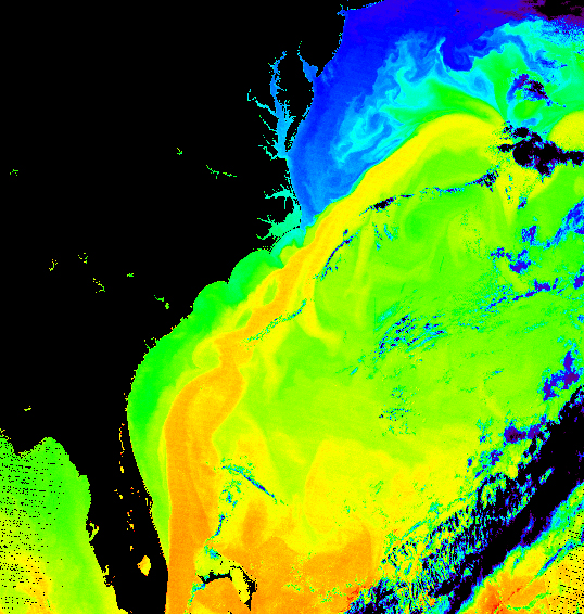 Terra MODIS image, the Gulf Stream