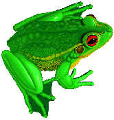 Blinking Frog Animated