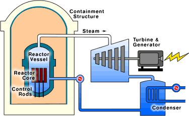 Boiling Water Reactor (BWR)