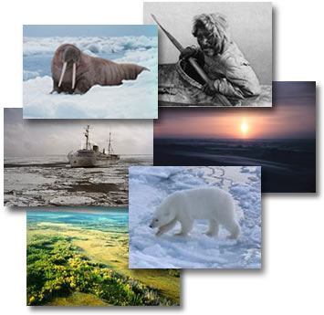 The Arctic People Plants Animals