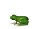 Animated Jumping Frog