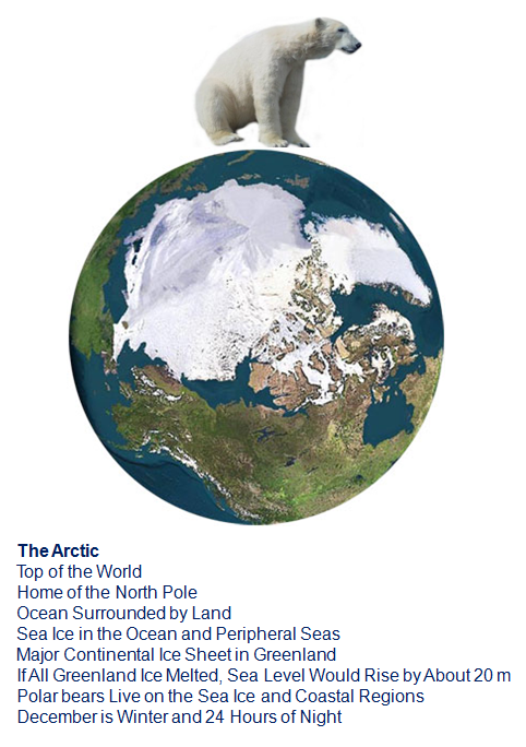 The Arctic - Home Of The Polar Bear